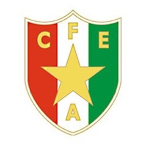 Clube de Futebol Estrela da Amadora